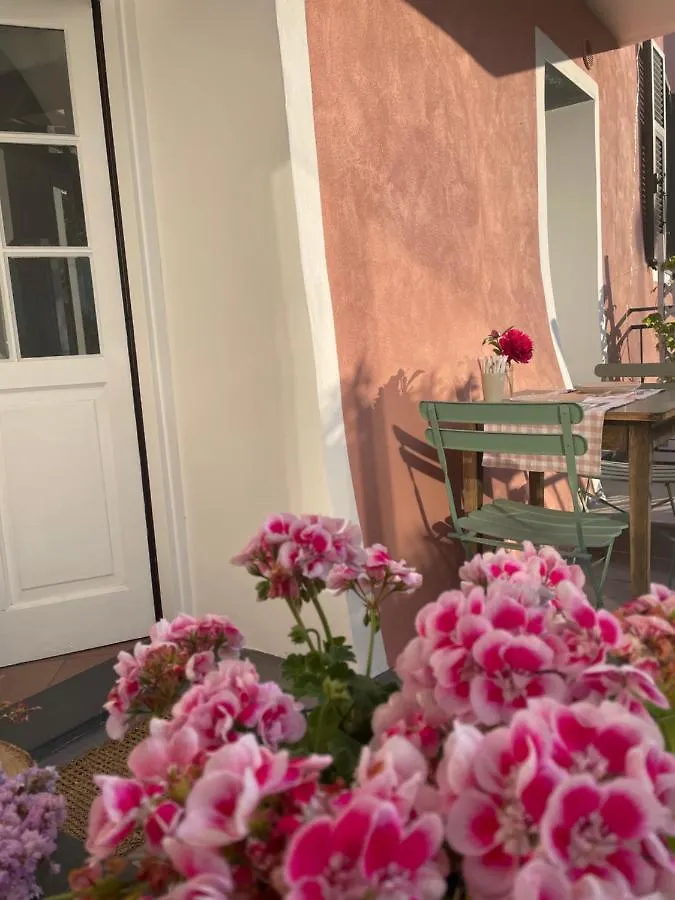Ti Vengo A Cercare Bed & Breakfast Castellaro  Italia